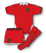 Wales home kit shirt 2007–2008 kappa